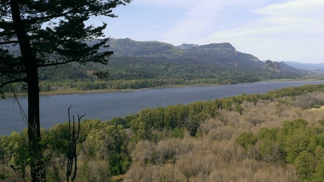 View of Columbia River just NW of Horsetail Falls